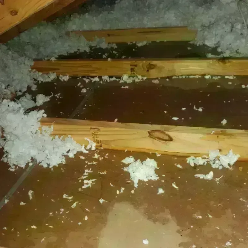 Attic Water Damage in Louisa County, VA